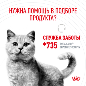 Корм для кошек, Royal Canin Light Weight Care, профилактика избыточного веса