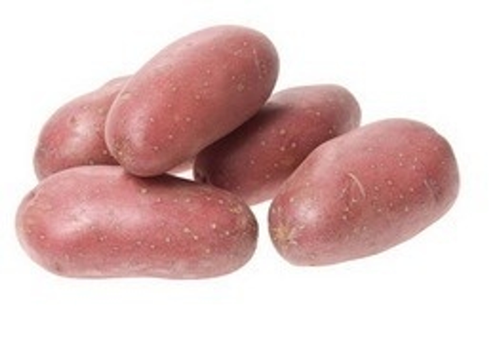 Картофель семенной Люкс