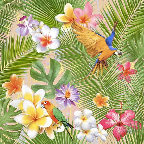 Обои 685-02 Жако Саратов