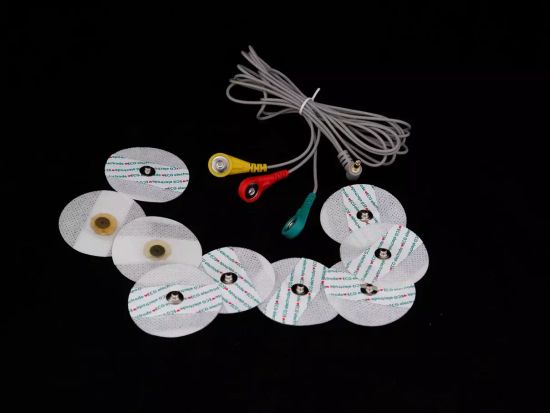 Цифровая лаборатория по физиологии