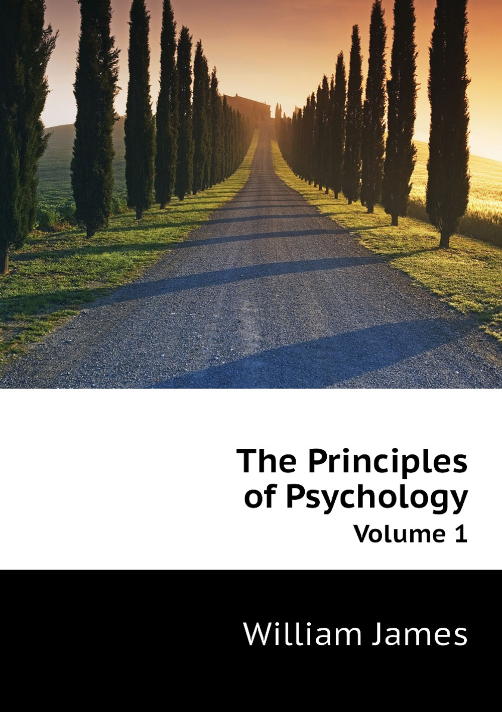 The Principles of Psychology. Volume 1 | James William