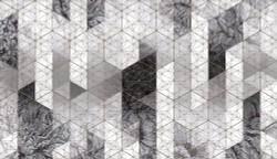 Коллекция Grafika Natura