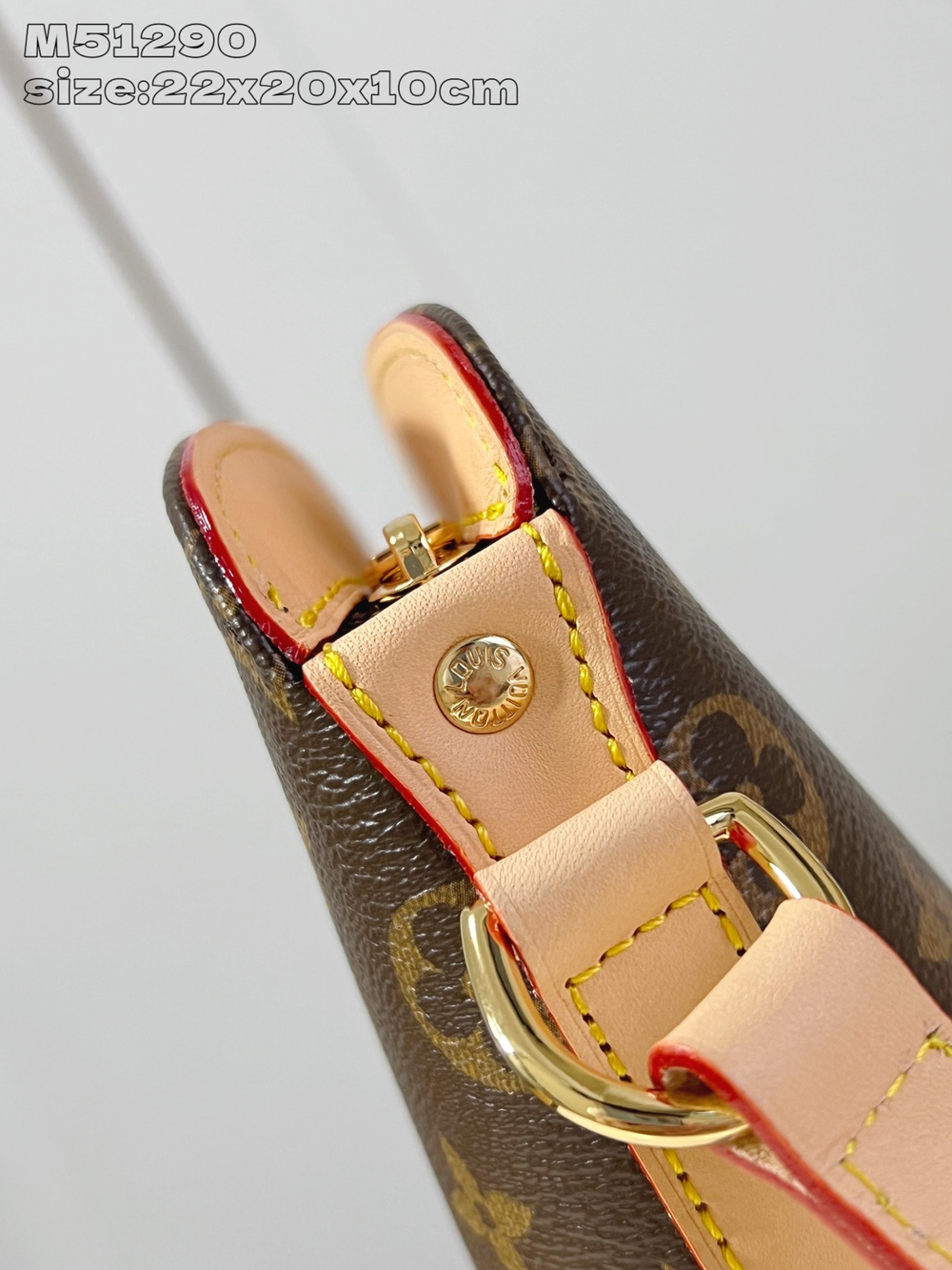 Louis Vuitton Drouot Shoulder Bag