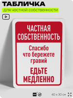 Табличка для частной территории "Частная собственность, едьте медленно", на дом, для участка, организаций, предупреждающая, 40х30 см, Silver Plane x Айдентика Технолоджи
