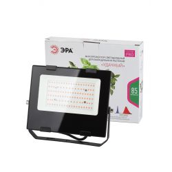 Фитопрожектор для растений светодиодный ЭРА FITO-50W-RB-LED для цветения и плодоношения красно-синего спектра 50 Вт