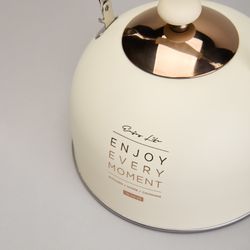 ЧАЙНИК AGNESS СО СВИСТКОМ 2,5 Л,НЖС ИНДУКЦИЯ