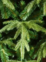 Ель искусственная «Форесто» (Литая+пвх) 210 см / 2.1 м