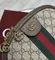Сумка Gucci Ophidia GG Small