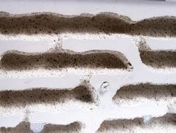 Гипсовый формикарий "Белый Дом" Grunt