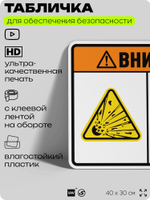 Табличка для обеспечения безопасности "Внимание взрывчатые вещества не входить", для производства, предприятия, организаций, 40х30 см, Silver Plane x Айдентика Технолоджи