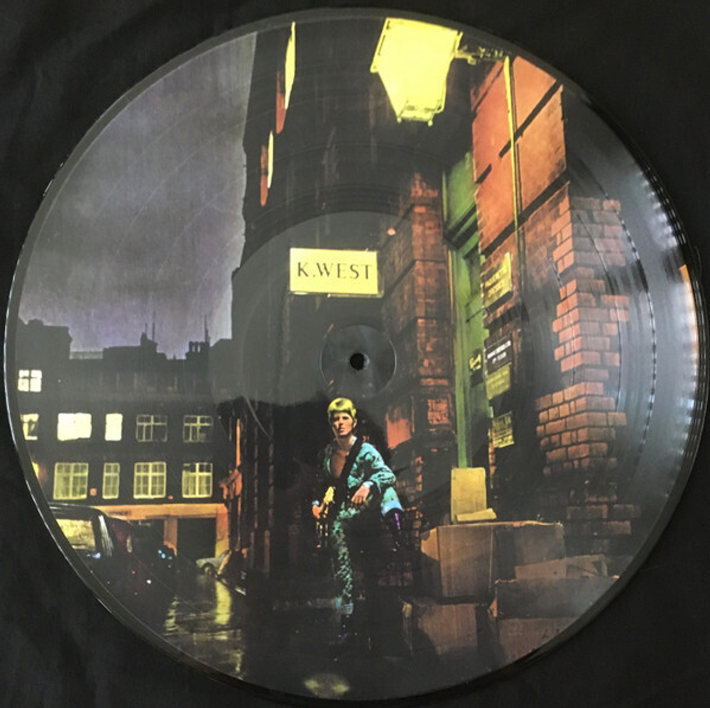 David Bowie / The Rise And Fall Of Ziggy Stardust And The Spiders From Mars (Picture Disc)(LP)