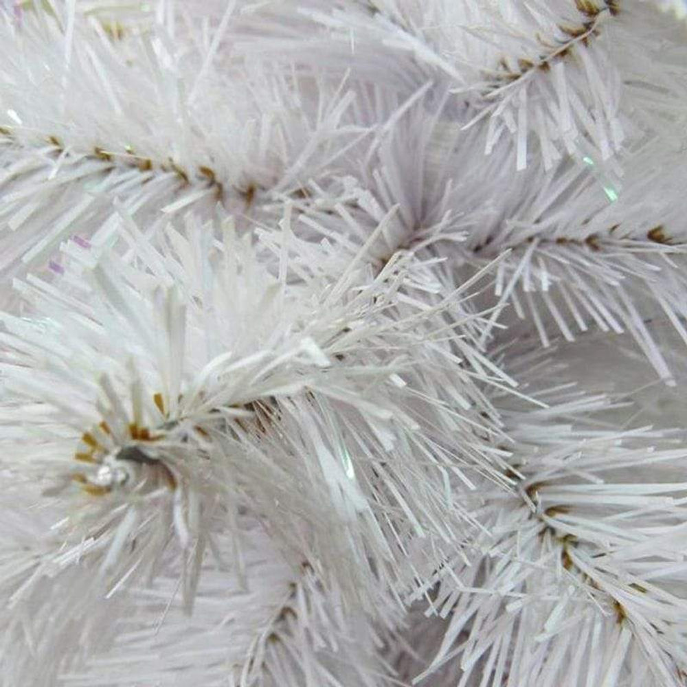 Ель 45 см Triumph Tree Атлантическая в мешочке Голландия фото