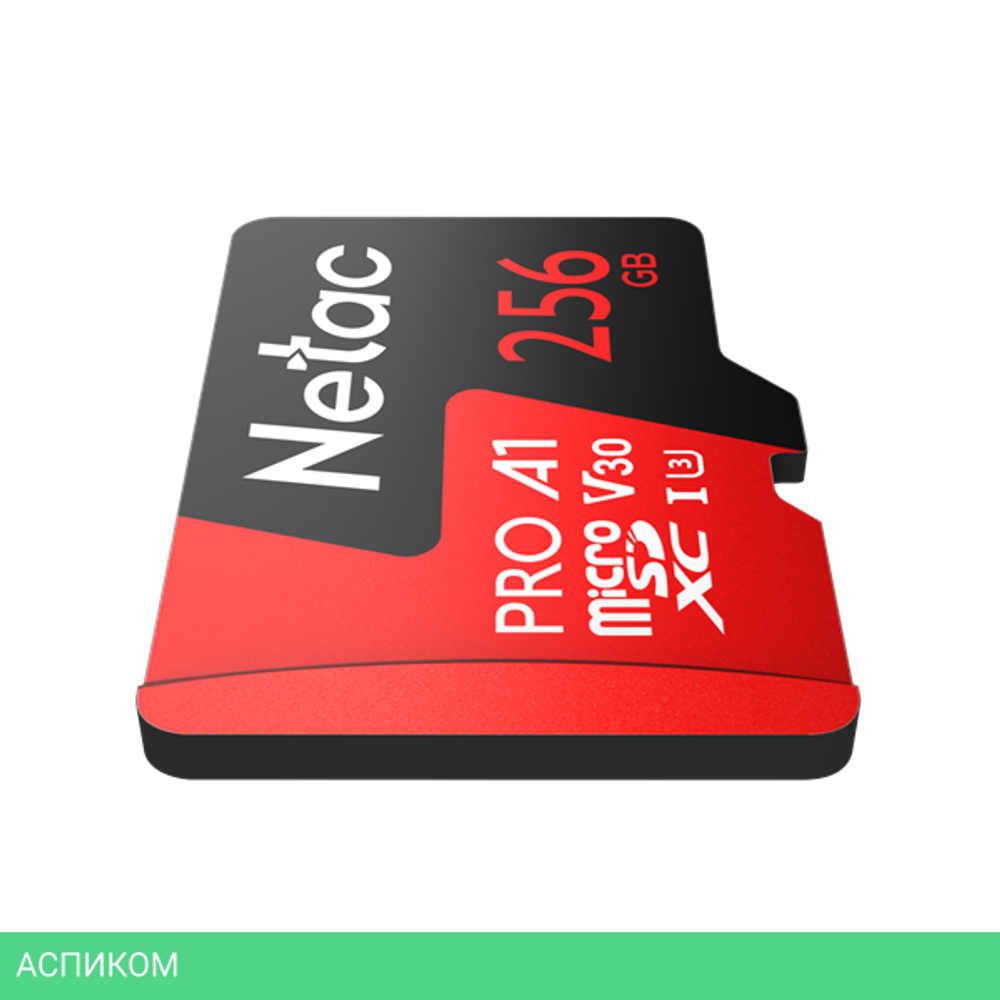 Карта памяти Netac NT02P500PRO-256G-R