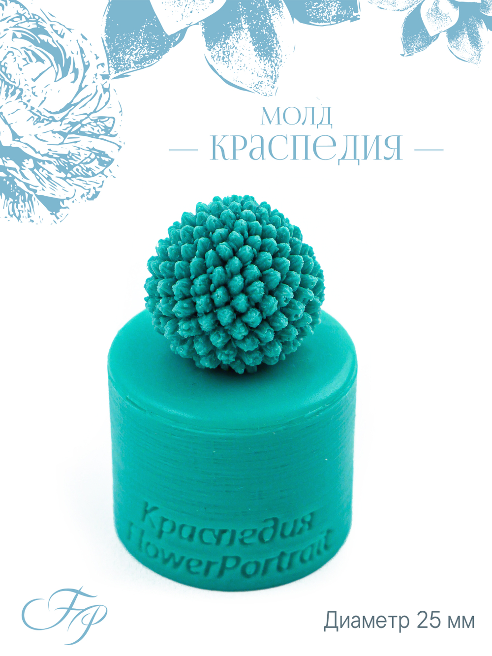 Молд Краспедия