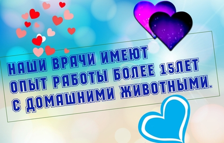 Более 15 лет стаж работы у наших врачей