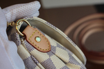 Louis Vuitton Favorite PM
