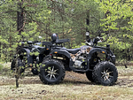 Квадроцикл PROMAX 320 DOMINATOR PRO (2025)