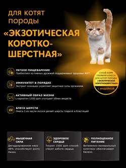Корм сухой для котят породы Экзотическая короткошёрстная, с индейкой, 2кг, QUATTRO
