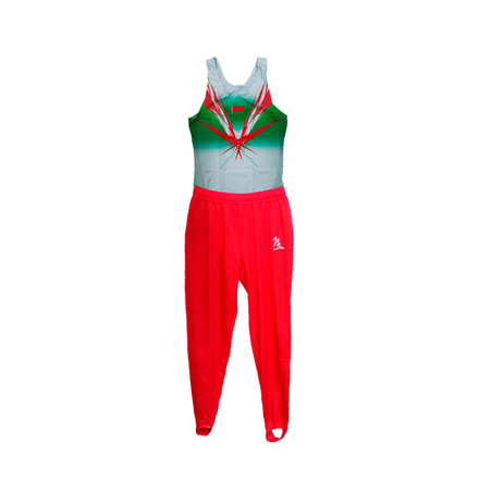 Комплект мужской гимнастический комбинезон (боди) + брюки Milano Pro Sport Men’s Digitex
