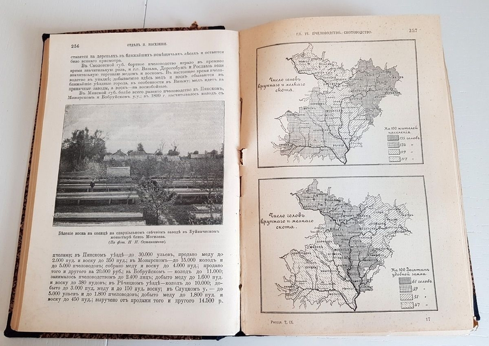 "Россия, полное географическое описание нашего Отечества. Том 9. Верхнее Поднепровье и Белоруссия". В.П.Семенов-Тянь-Шанский. 1914 г.