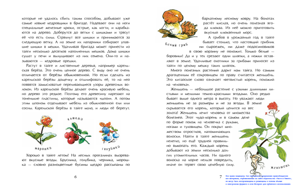 Тайга. Удивительный лес