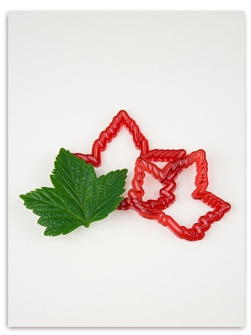 Лист смородины универсальный