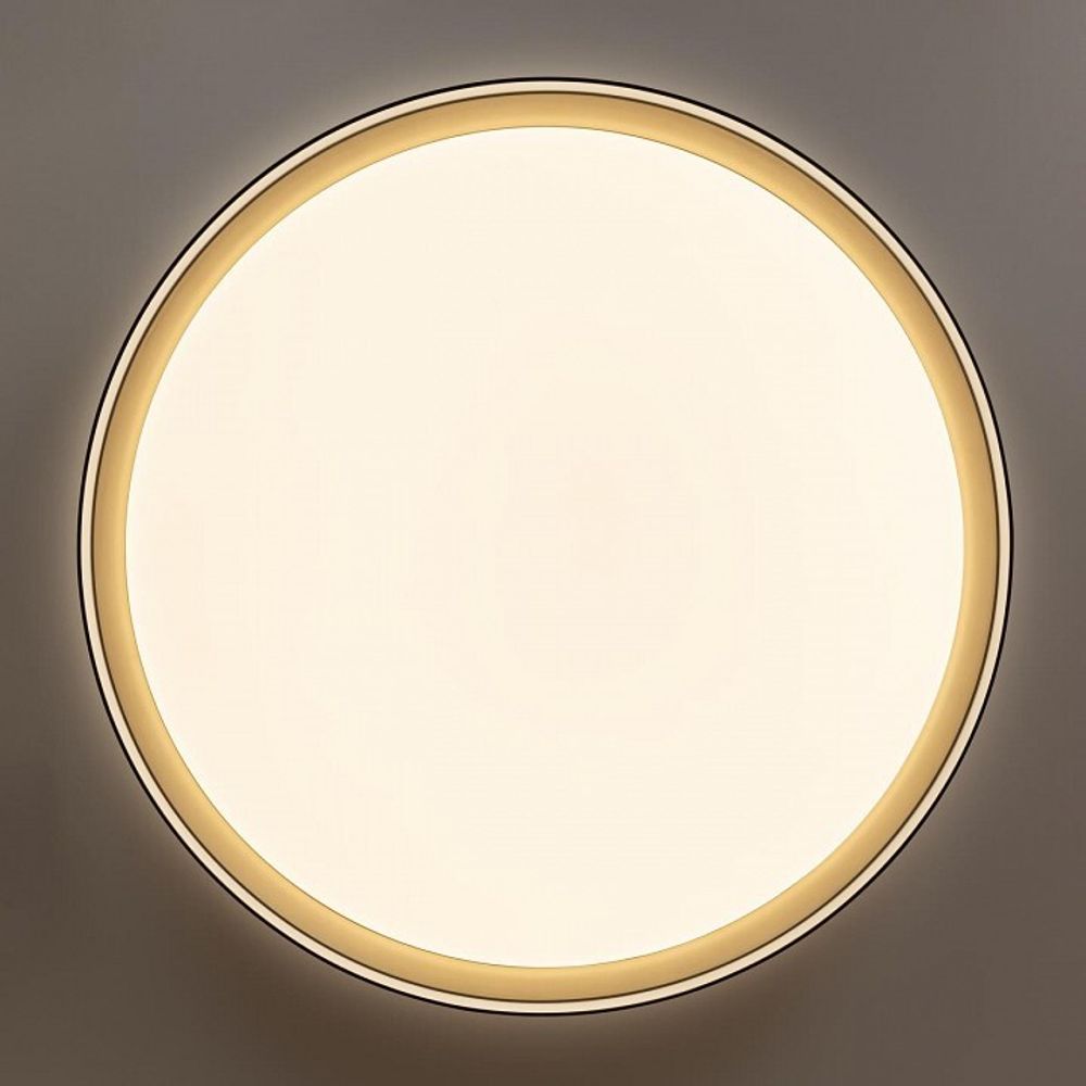 Накладной светильник Citilux BOSS CL751451G