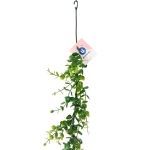 Лиана искусственная «Green garden» 170см эвкалипт, цвет зеленый