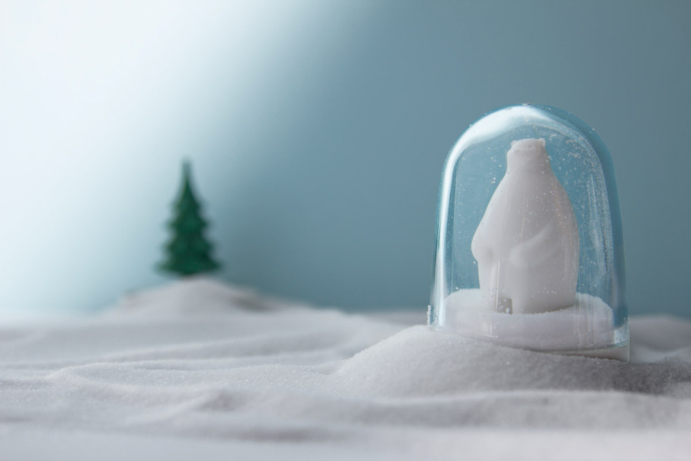 Набор для специй animal parade