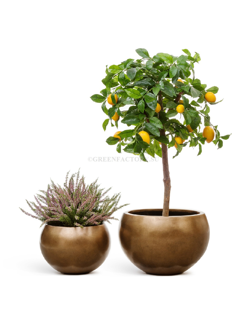 Кашпо TREEZ Effectory - Metal - Полусфера - Тёмное матовое золото