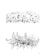 Colored pencil landscape painting with four seasons. Coloring Book