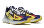 Кроссовки Angus Chiang X Reebok Zig Kinetica Concept_Type 2