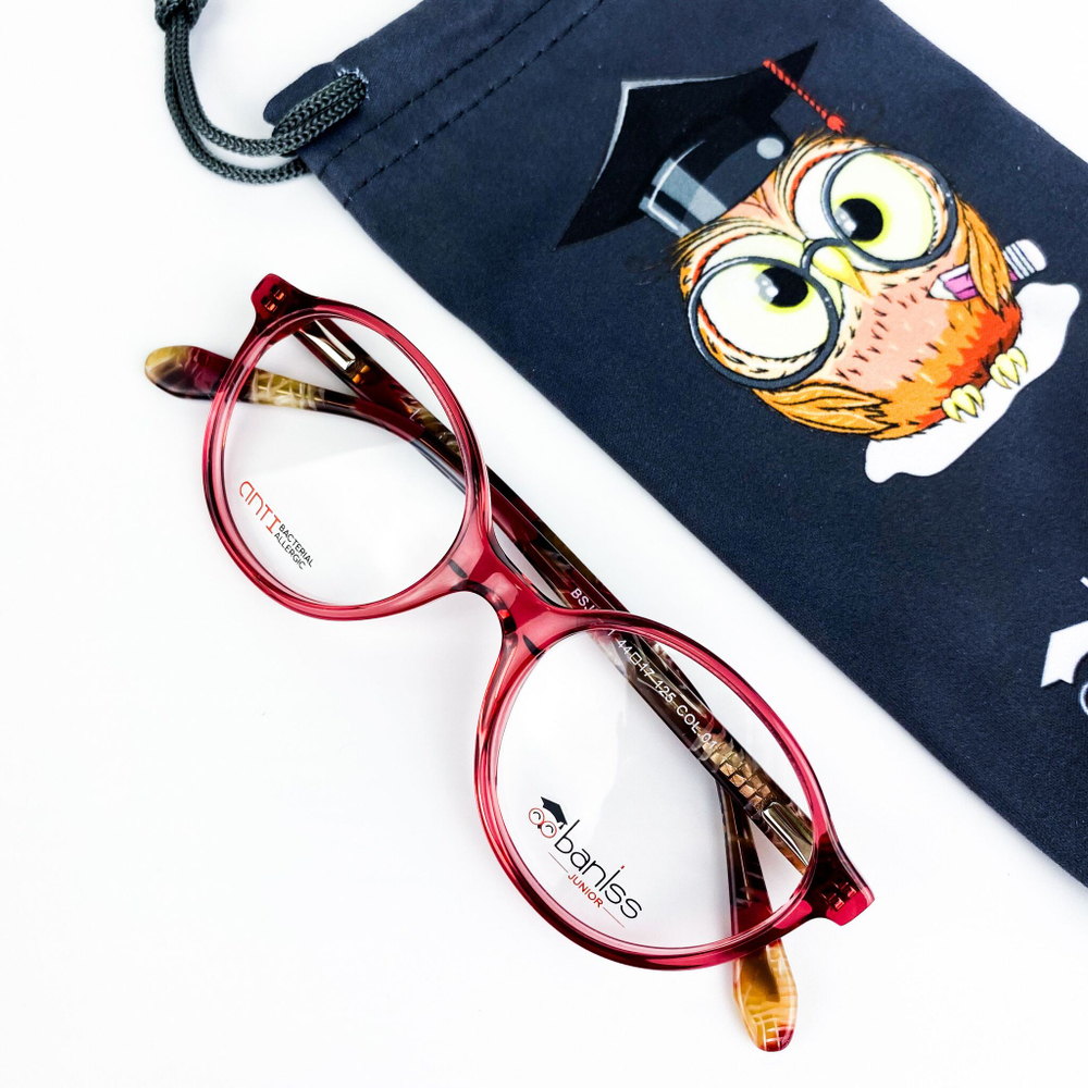 baniss BSJ 5141 01 44-17-125 оправа + чехол