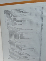 Мед и медолечение