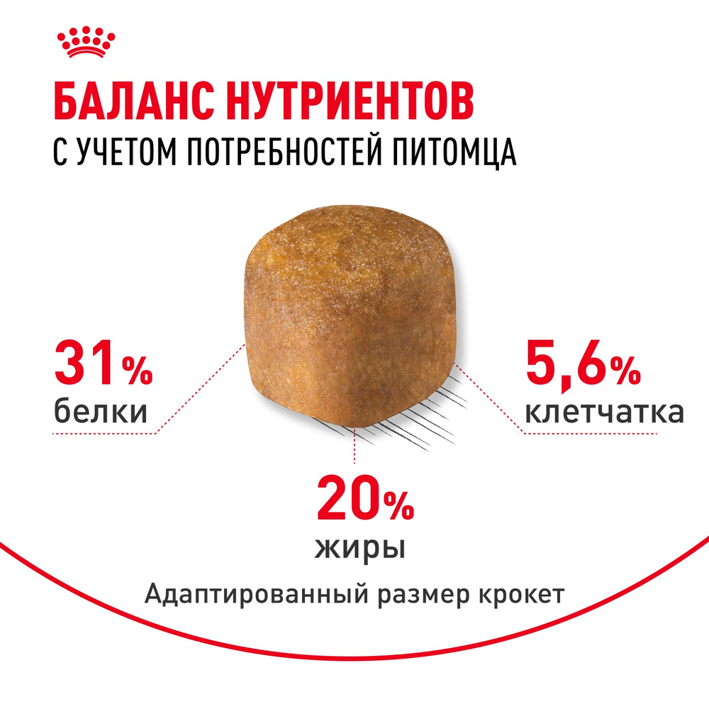 Royal Canin Maine Coon Adult Мейн Кун Эдалт Корм сухой для взрослых кошек породы Мэйн Кун 400г