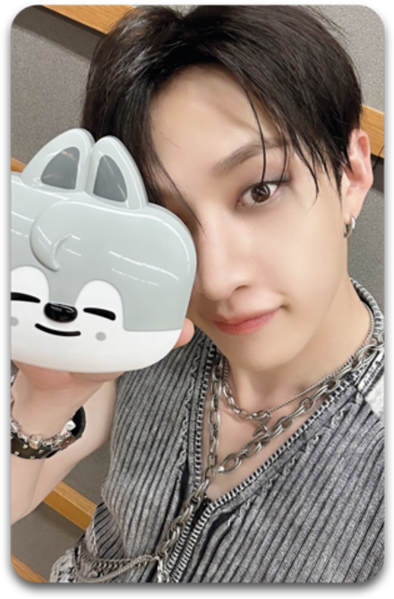 Карта / STRAY KIDS #2248