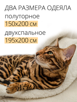 Одеяло с чехлом-пуфиком "Северный путь"
