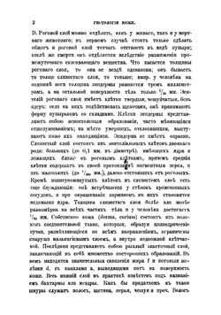Кожевенное производство | Рылов Михаил Анфимович