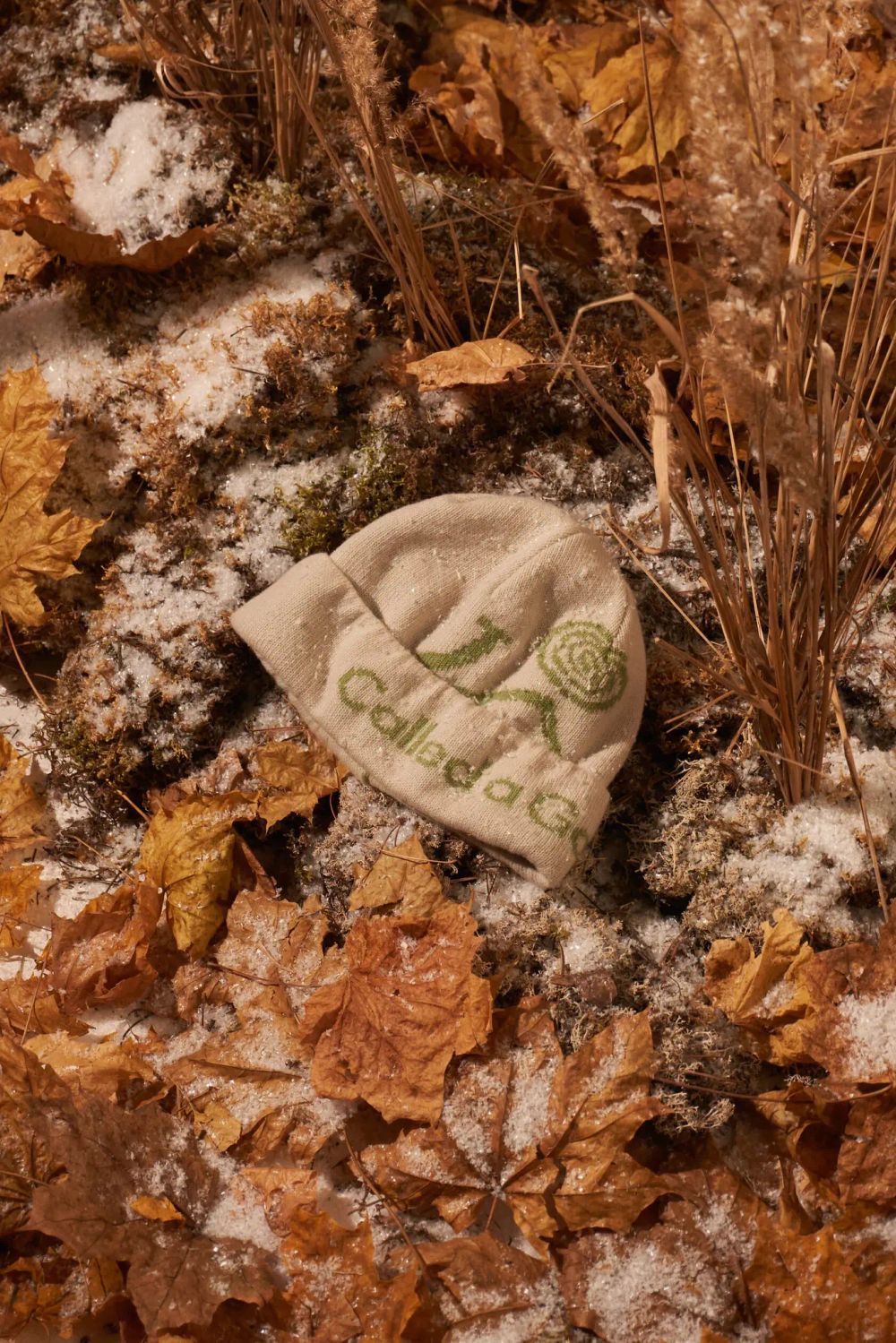 Шапка Called a Garment Pathway Logo Beanie молочный / зеленое яблоко