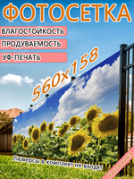 Фотосетка 560х158 светостойкая