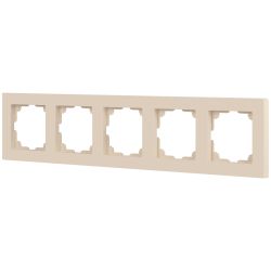 Рамка для розеток и выключателей Intro Accent 6-505-02 на 5 постов, СУ, сл.кость
