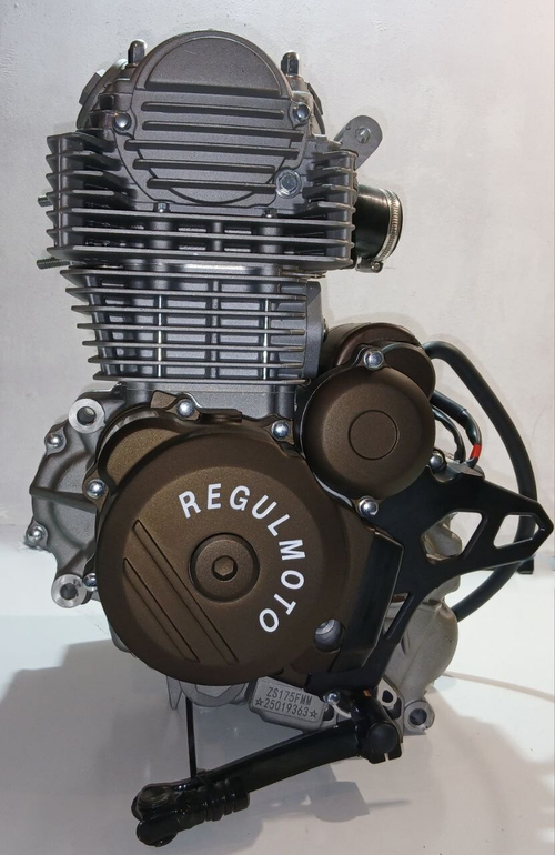 Двигатель ZS175-FMM мотоцикл REGULMOTO SPORT 003