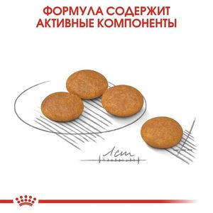 Корм для собак, Royal Canin Mini Dermacomfort, при раздражениях и зуде, связанных с чувствительностью кожи