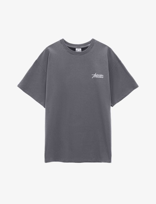 Футболка Anteater Phat 480 серая