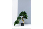 Бонсай игольчатый в. 63 см/ ш. 65 см (белый ствол)