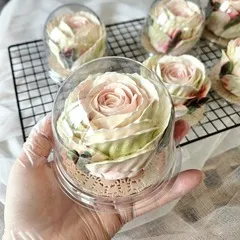 Зефир «Роза Мондиаль» Зефир «Роза Мондиаль»