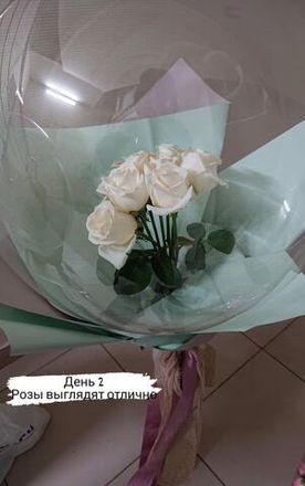 Живой букет в шаре