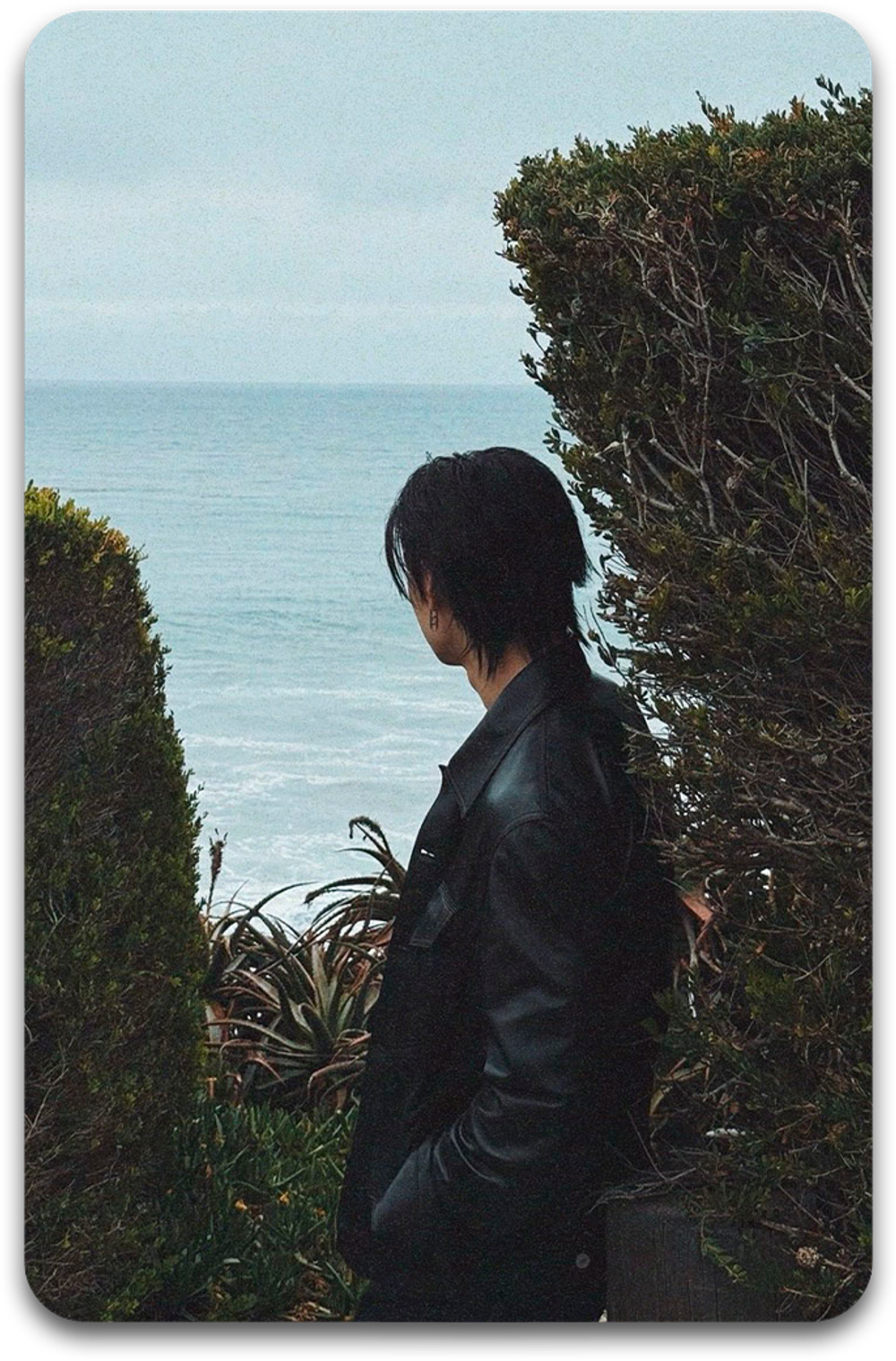 Карта / STRAY KIDS #5149