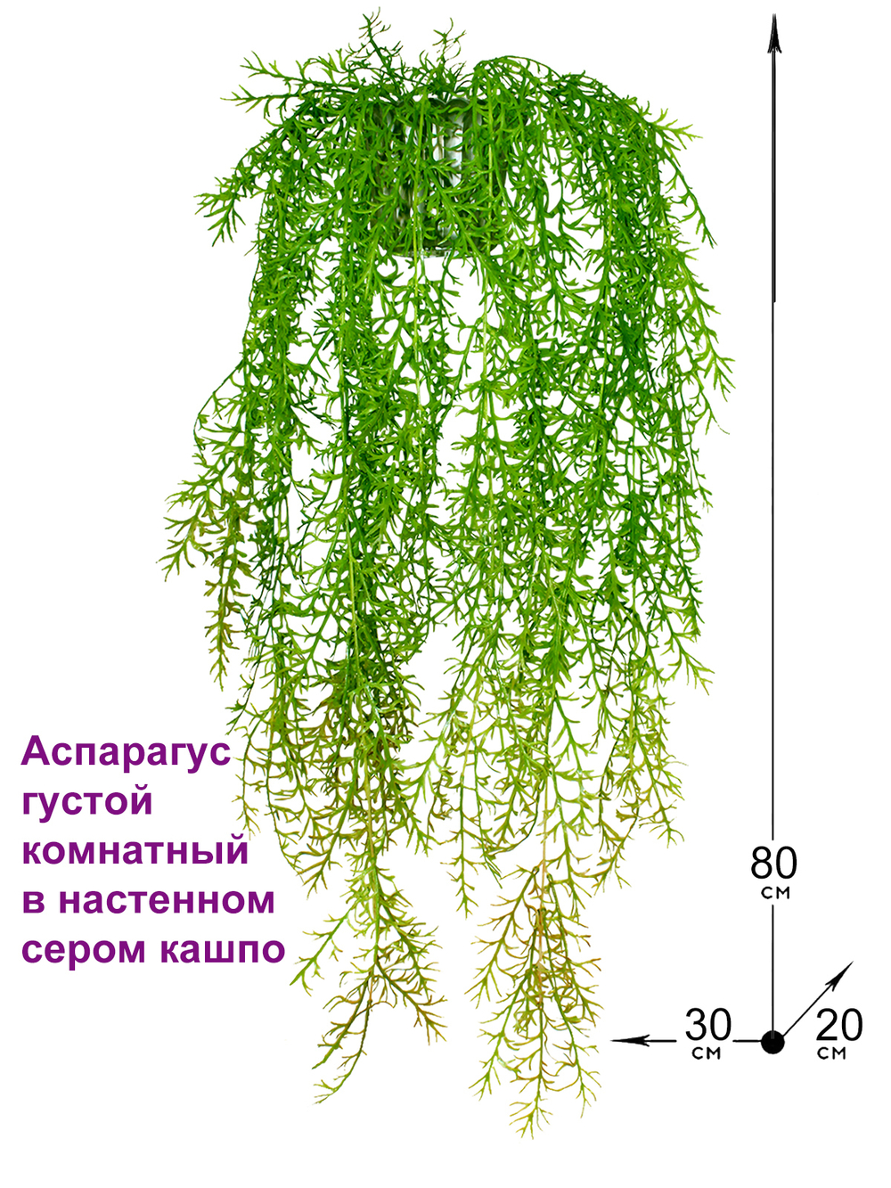 Искусственное растение Аспарагус густой комнатный в настенном сером кашпо