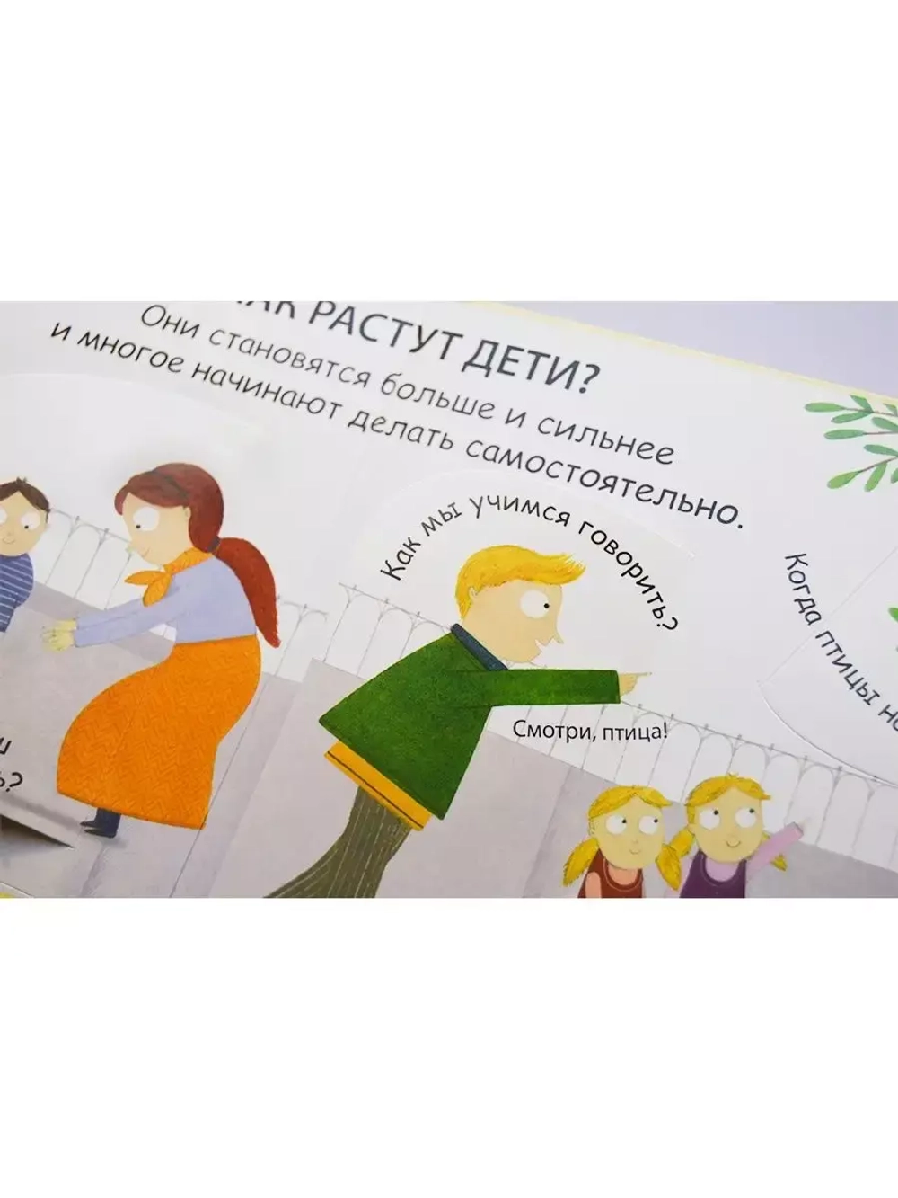 40 окошек. Откуда берутся дети